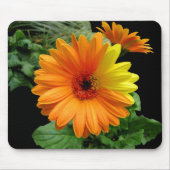 GERBER DAISY-MOUSEPAD MOUSEPAD (Vorne)