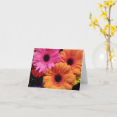 Gerber daisy orange pink Blume notecard Karte (Gelbe Blume)