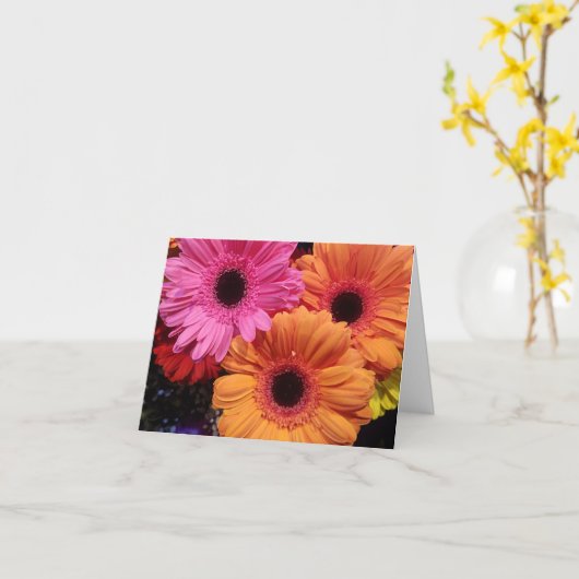 Gerber daisy orange pink Blume notecard Karte (Gelbe Blume)