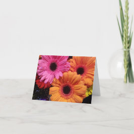 Gerber daisy orange pink Blume notecard Karte