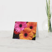 Gerber daisy orange pink Blume notecard Karte (Vorderseite)
