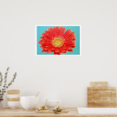 Gerber Daisy Poster (Küche)