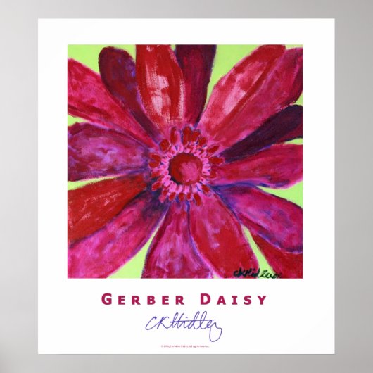 Gerber Daisy Poster (Vorne)
