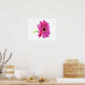 Gerber Daisy Poster Print (Küche)