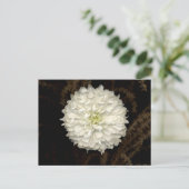 Gerber Daisy Postkarte (Stehend Vorderseite)
