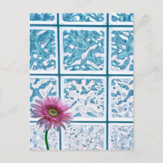 Gerber Daisy Postkarte