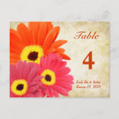 Gerber Daisy Tischnummer Card (Vorderseite)