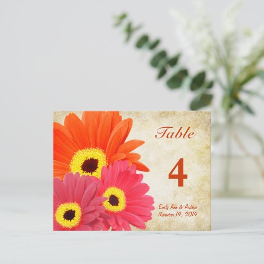 Gerber Daisy Tischnummer Card (Stehend Vorderseite)