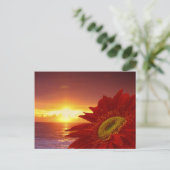 Gerber Daisy und Sonnenuntergang Postkarte (Stehend Vorderseite)