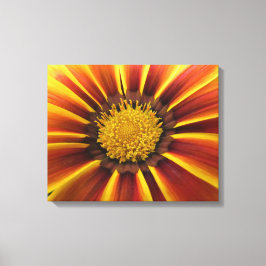 Gerber Daisy Up Nahe und persönliche Leinwand