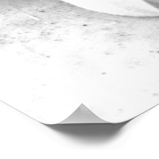 Gerber Daisy Upclose Poster (Ecke)