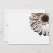 Gerber Daisy Wedding Einladung (Rückseite)