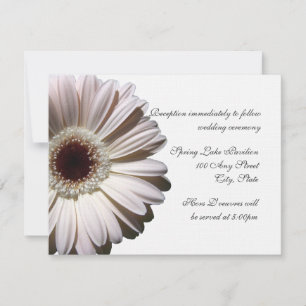 Gerber Daisy Wedding Einladung