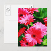 Gerber Postkarte (Vorne/Hinten)