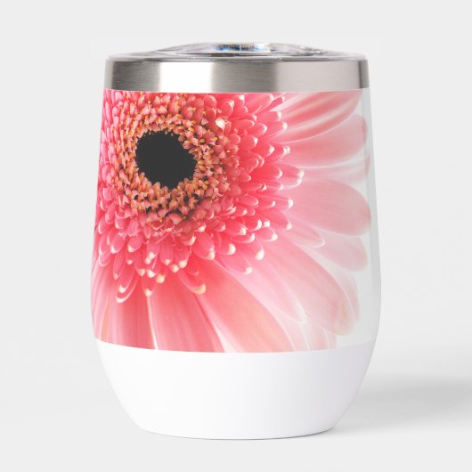 Gerbera (Vorderseite)