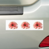 Gerbera Autoaufkleber (Auf Auto)