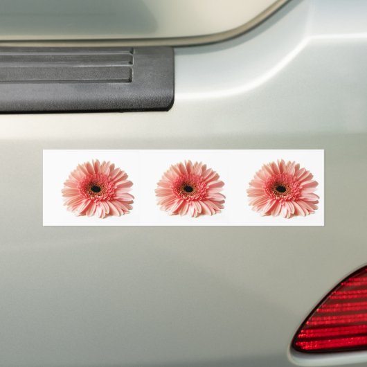 Gerbera Autoaufkleber (Auf Auto)