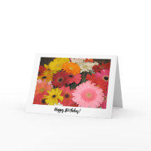 Gerbera Birthday Card