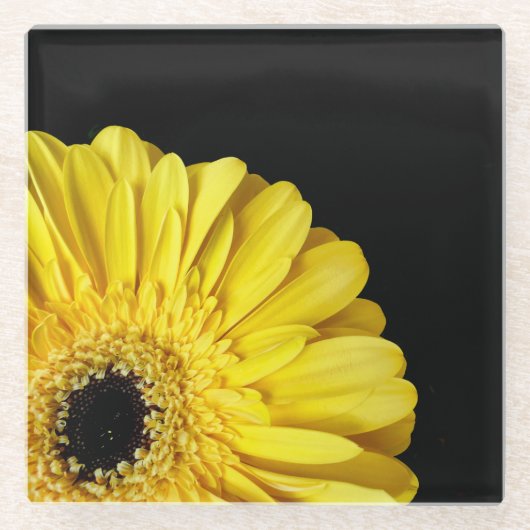 Gerbera Blume Glasuntersetzer (Vorderseite)