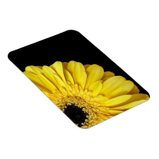 Gerbera Blume Magnet (Rechte Seite)