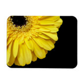 Gerbera Blume Magnet (Horizontal)