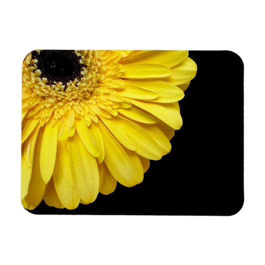 Gerbera Blume Magnet (Horizontal)