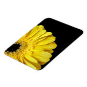 Gerbera Blume Magnet (Linke Seite)