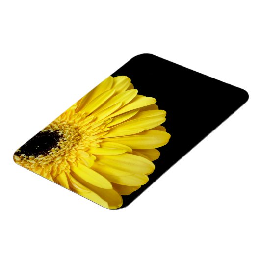 Gerbera Blume Magnet (Linke Seite)