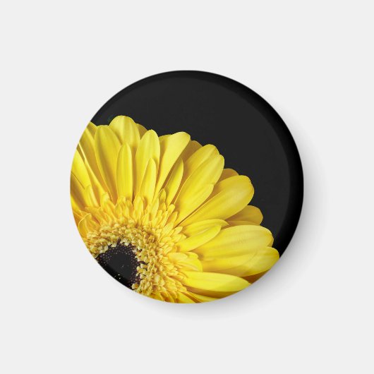 Gerbera Blume Magnet (Vorne)