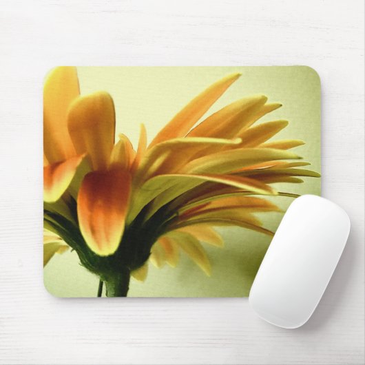 Gerbera Blume Mousepad (Mit Mouse)