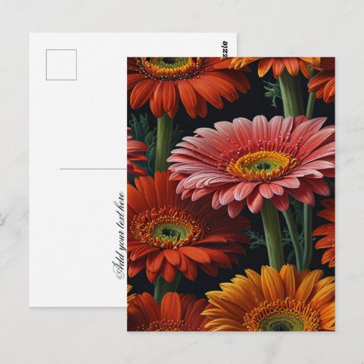 Gerbera-Blume Postkarte (Vorne/Hinten)