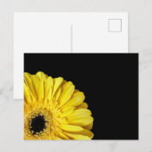 Gerbera Blume Postkarte (Vorne/Hinten)
