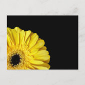 Gerbera Blume Postkarte (Vorderseite)