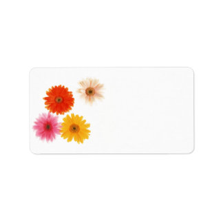 Gerbera Blume Print Floating Blume Daisy Floral Adressaufkleber