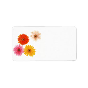 Gerbera-Blumen-Druck-sich hin- und herbewegendes Adressaufkleber