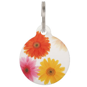 Gerbera-Blumen-Druck-sich hin- und herbewegendes Tiernamensmarke