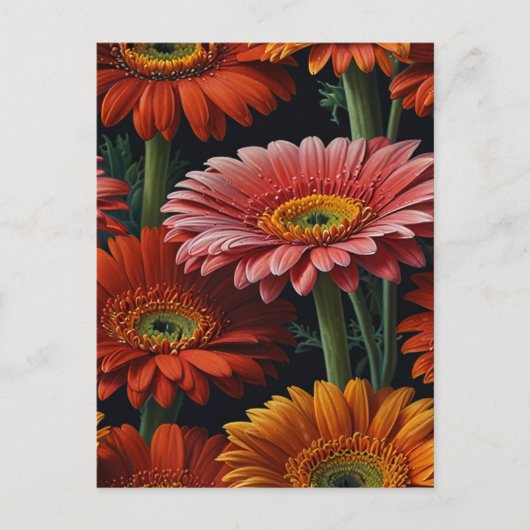 Gerbera-Blumen Postkarte (Vorderseite)