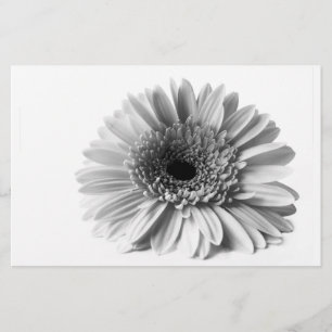 Gerbera Briefpapier