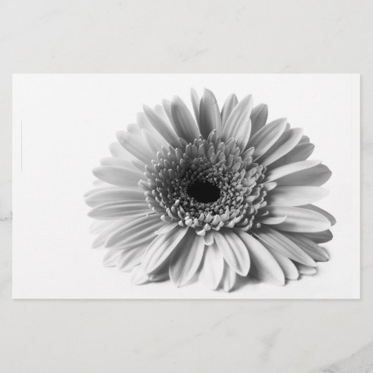 Gerbera Briefpapier (Vorderseite)