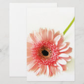 Gerbera Briefpapier (Vorne/Hinten)