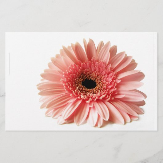Gerbera Briefpapier (Vorderseite)
