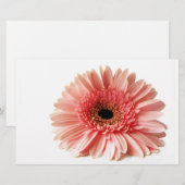 Gerbera Briefpapier (Vorne/Hinten)