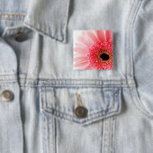 Gerbera Button (Beispiel)