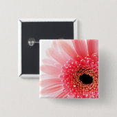 Gerbera Button (Vorne & Hinten)