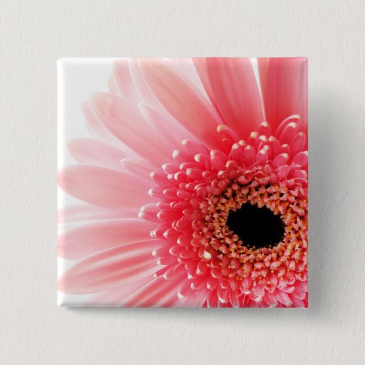 Gerbera Button (Vorderseite)