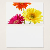 Gerbera Daisies (Vorne & Hinten)