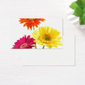 Gerbera Daisies (Schreibtisch)