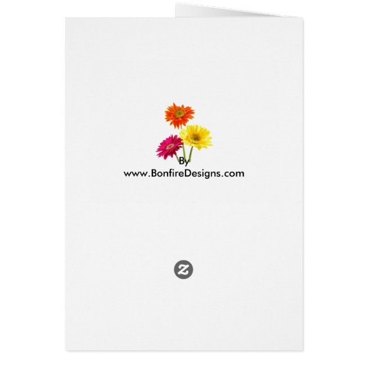 Gerbera Daisies (Hinten)