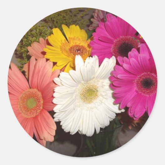 Gerbera Daisies 017 Runder Aufkleber (Vorderseite)