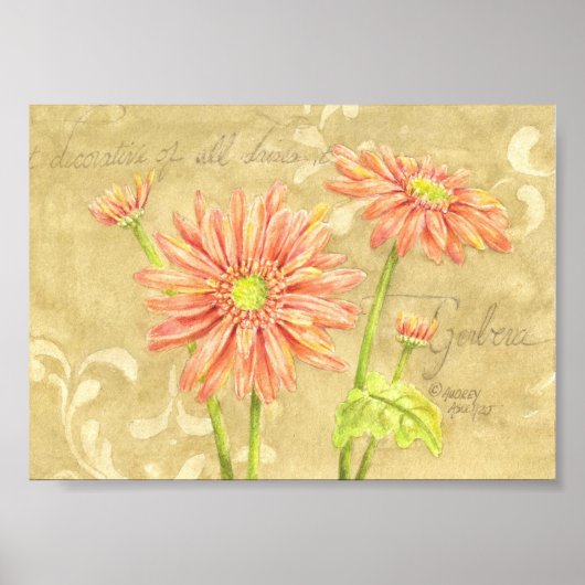 Gerbera Daisies Garden Notes Poster 7x5 (Vorne)